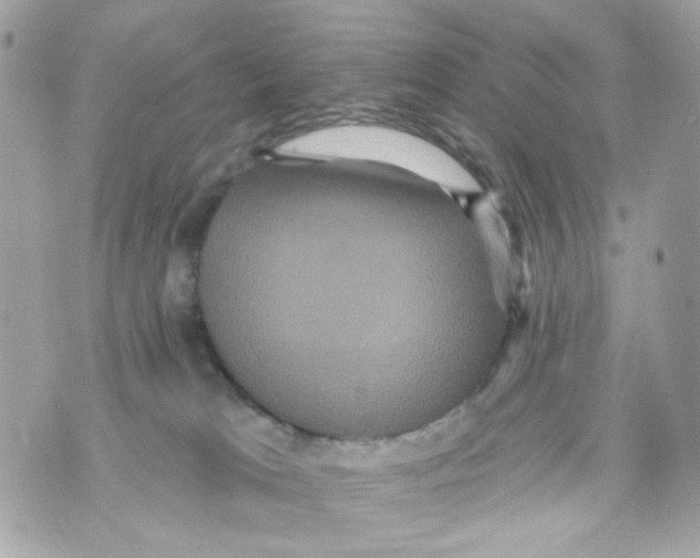 X0000070400037200607072255