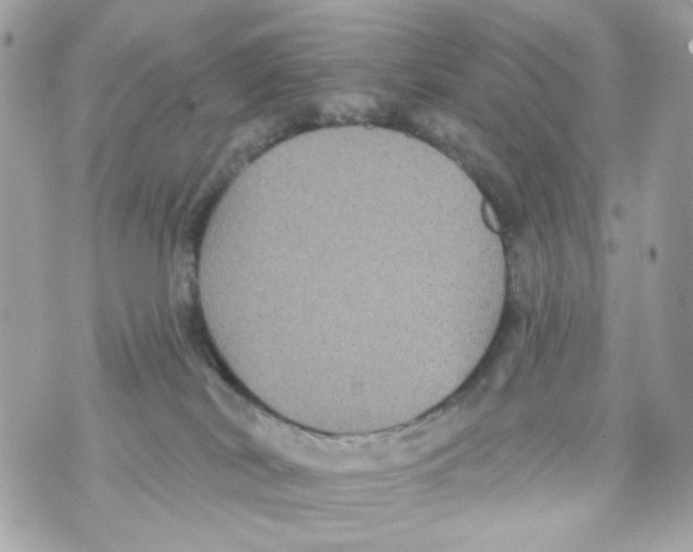 X0000070400038200607072255