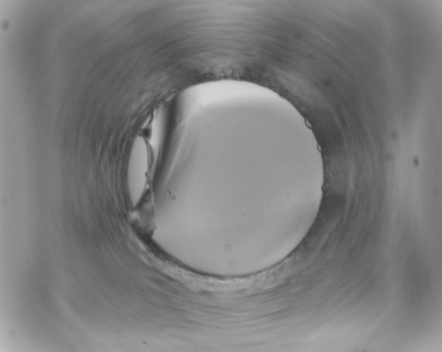 X0000070400039200607072255