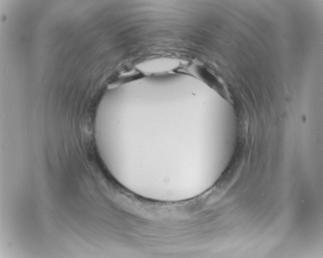 X0000070400040200607072255