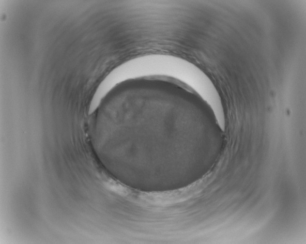 X0000070400041200607072255