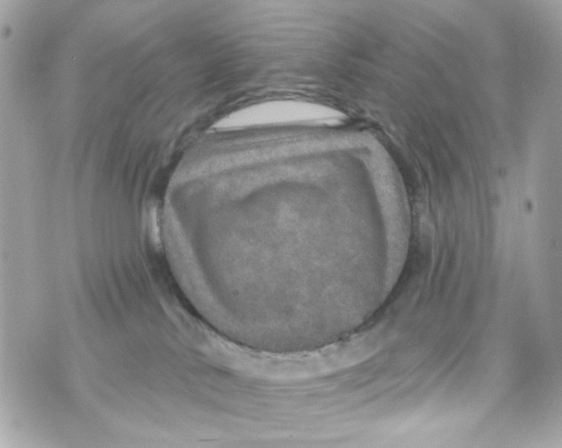 X0000070400042200607072255