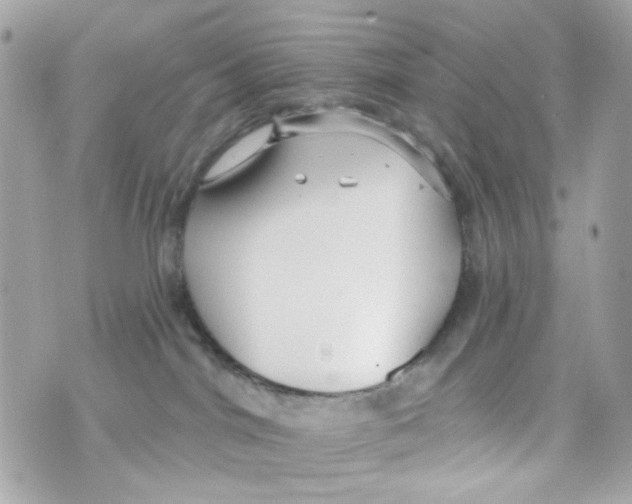 X0000070400044200607072255