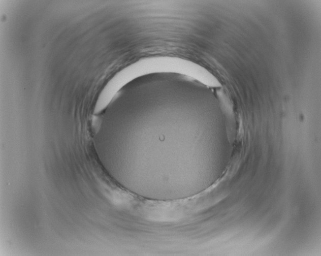 X0000070400045200607072255