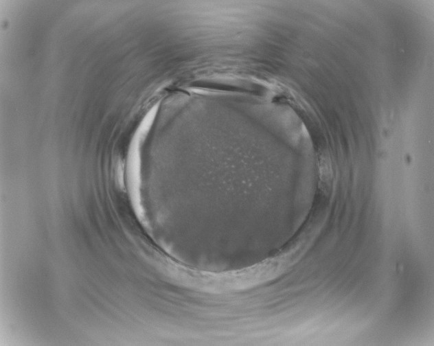 X0000070400046200607072255