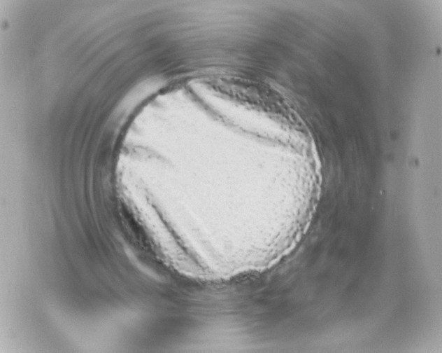 X0000070400050200607072254