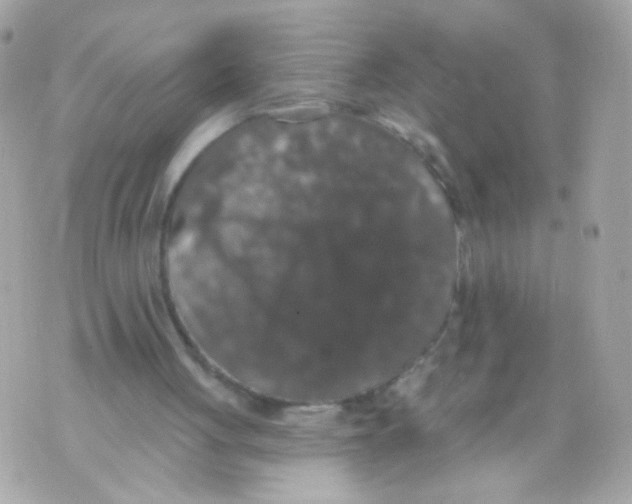 X0000070400051200607072254