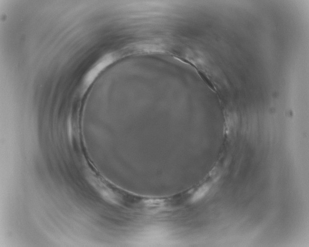 X0000070400052200607072254