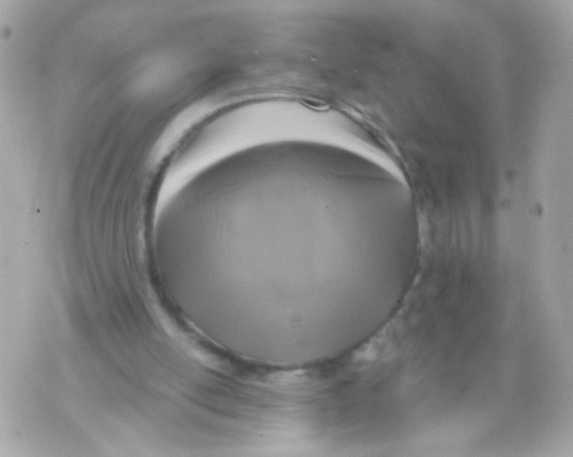 X0000070400054200607072254