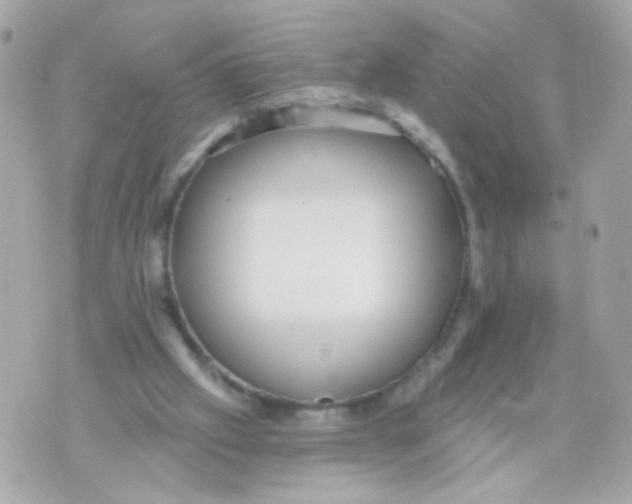 X0000070400057200607072254