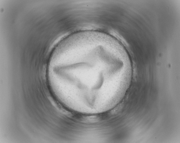 X0000070400058200607072254