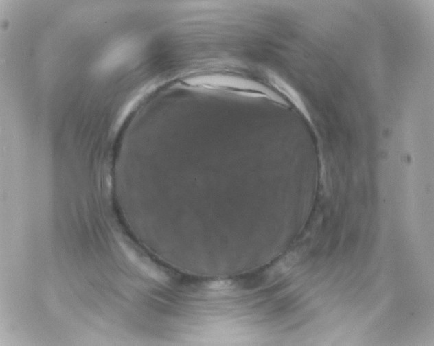 X0000070400059200607072254