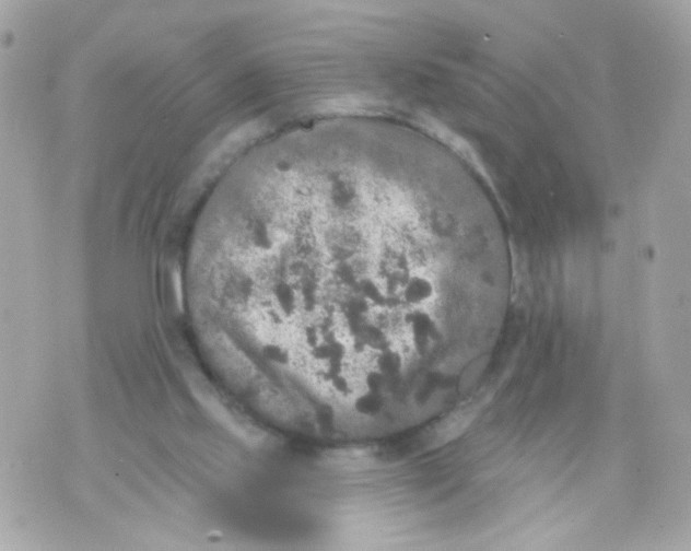 X0000070400061200607072254