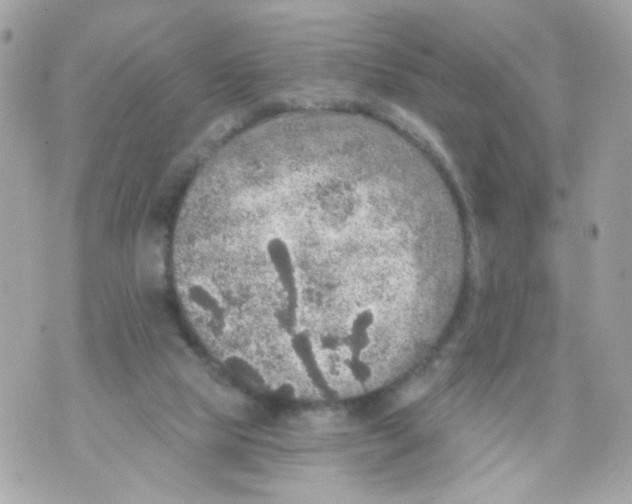 X0000070400065200607072254