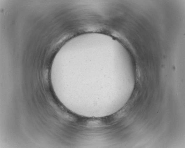 X0000070400066200607072254