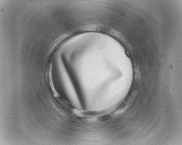 X0000070400068200607072254