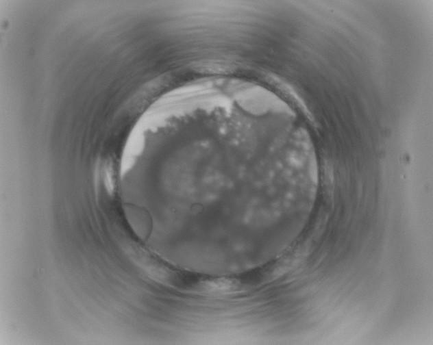 X0000070400069200607072254