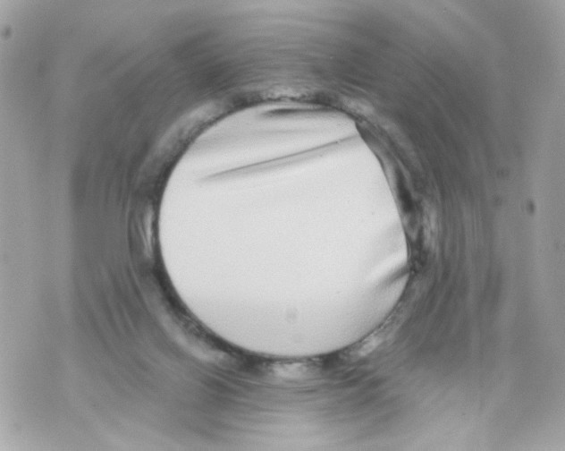 X0000070400070200607072254