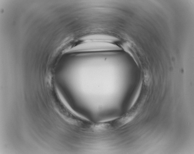 X0000070400072200607072254