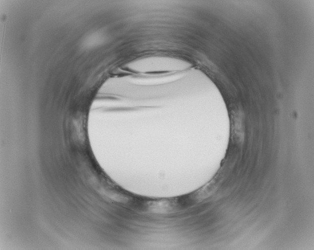 X0000070400074200607072254