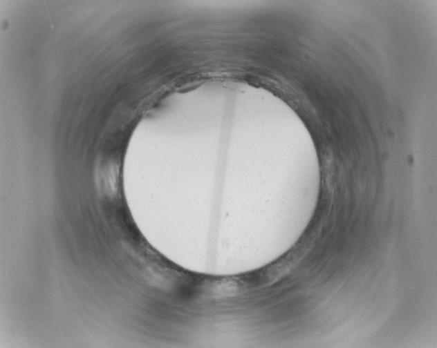 X0000070400075200607072254