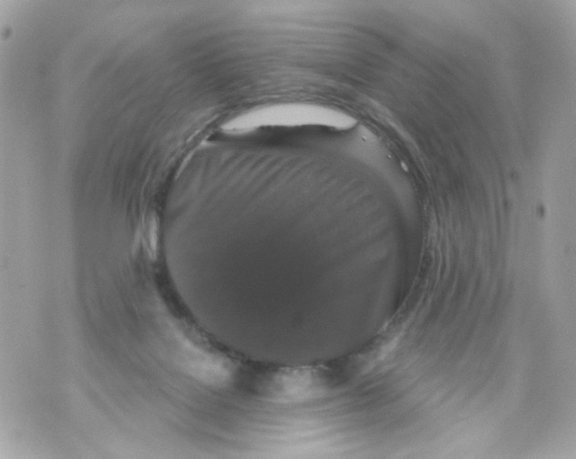 X0000070400076200607072254