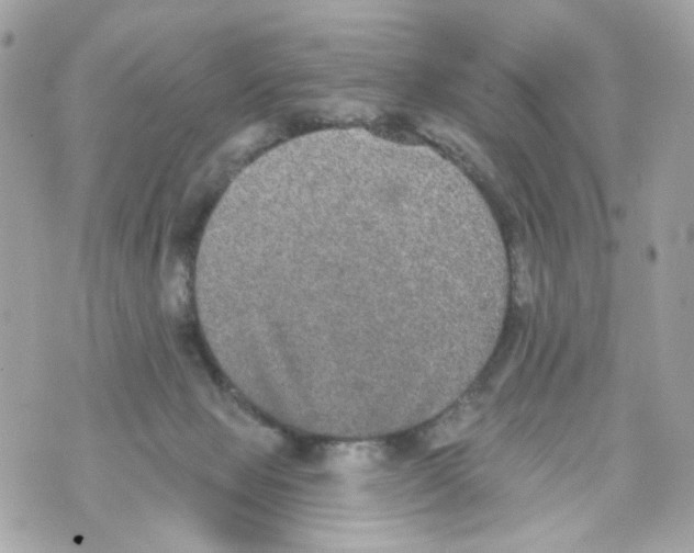 X0000070400077200607072254