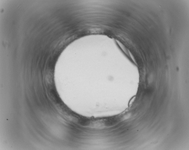 X0000070400078200607072255