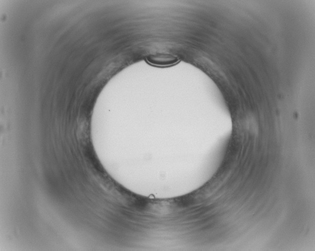 X0000070400079200607072255