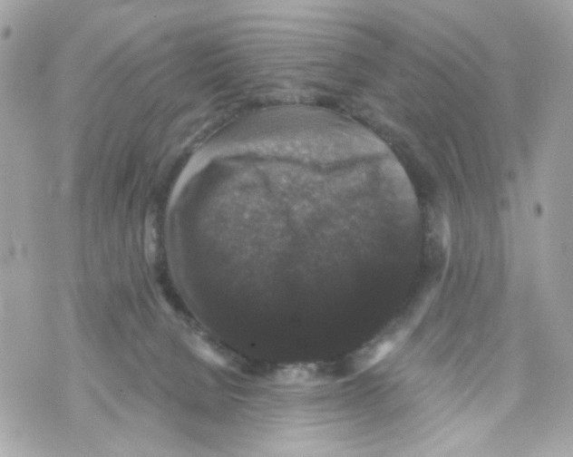 X0000070400080200607072255