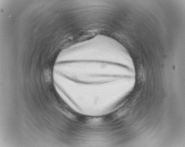 X0000070400081200607072255