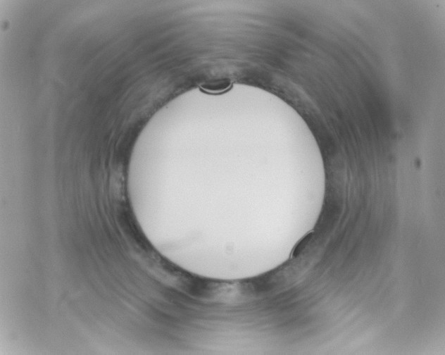 X0000070400083200607072255