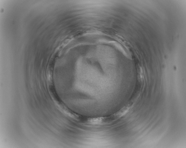 X0000070400084200607072255