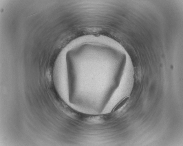 X0000070400086200607072255