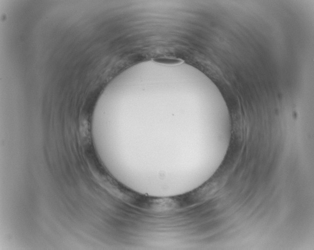 X0000070400087200607072255