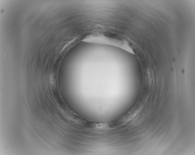 X0000070400088200607072255