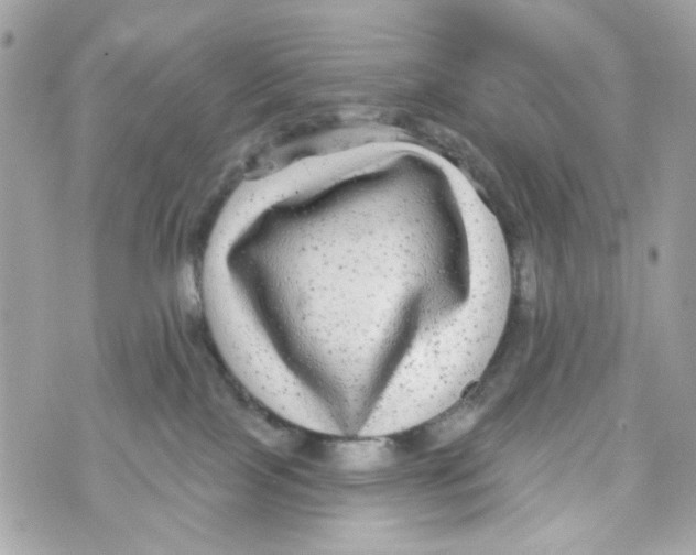 X0000070400089200607072255