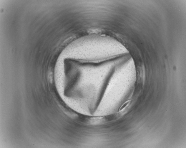 X0000070400090200607072255