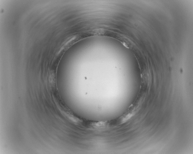 X0000070400092200607072255