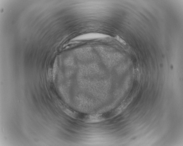 X0000070400093200607072255