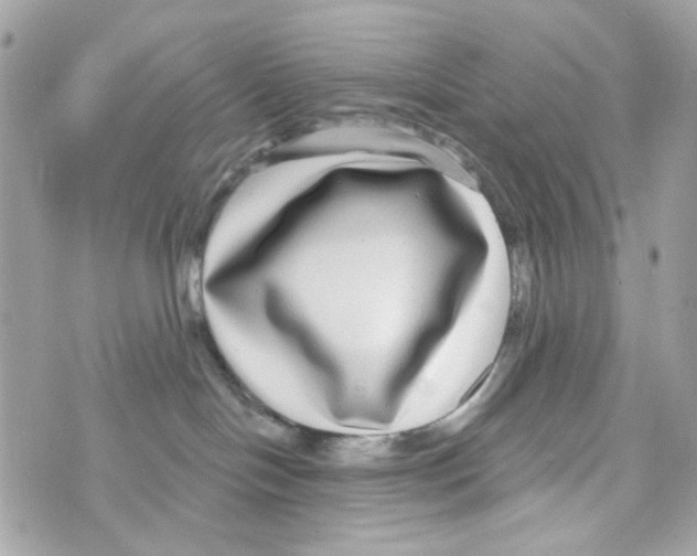 X0000070400094200607072255