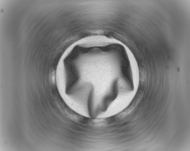 X0000070400095200607072255