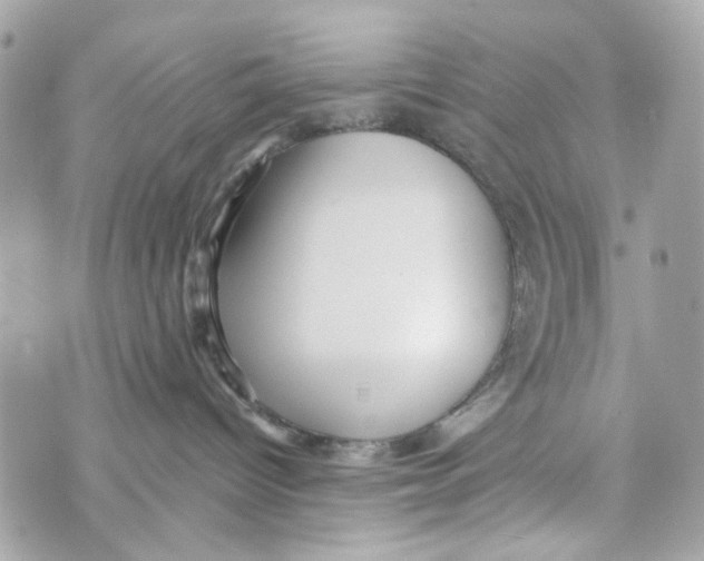 X0000070400096200607072255