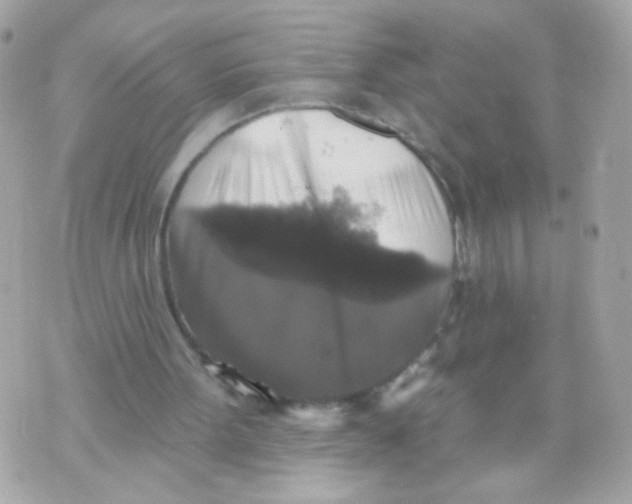 X0000070400099200607072254