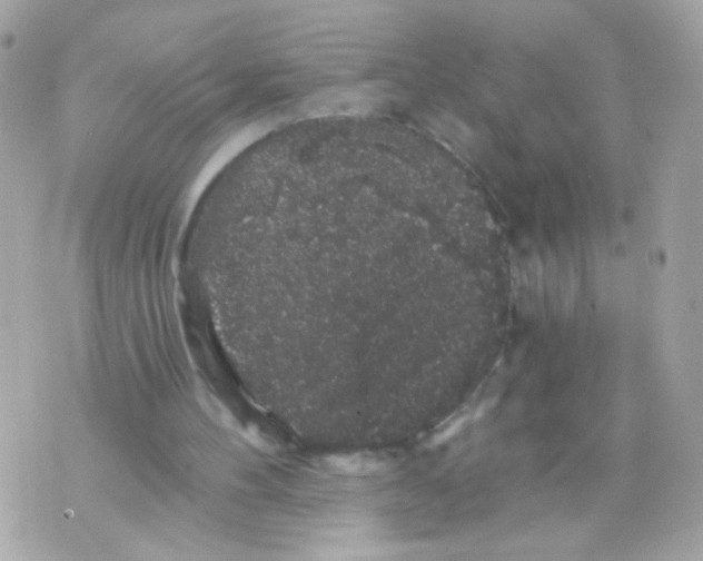 X0000070400100200607072254