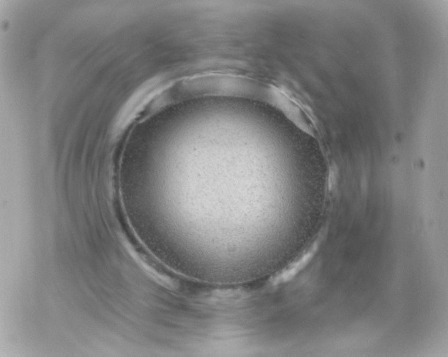 X0000070400101200607072254