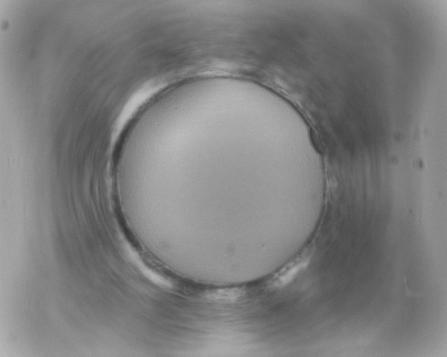 X0000070400102200607072254