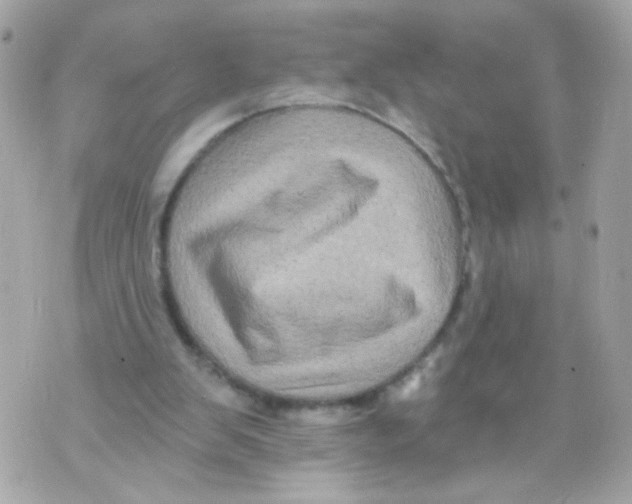 X0000070400103200607072254