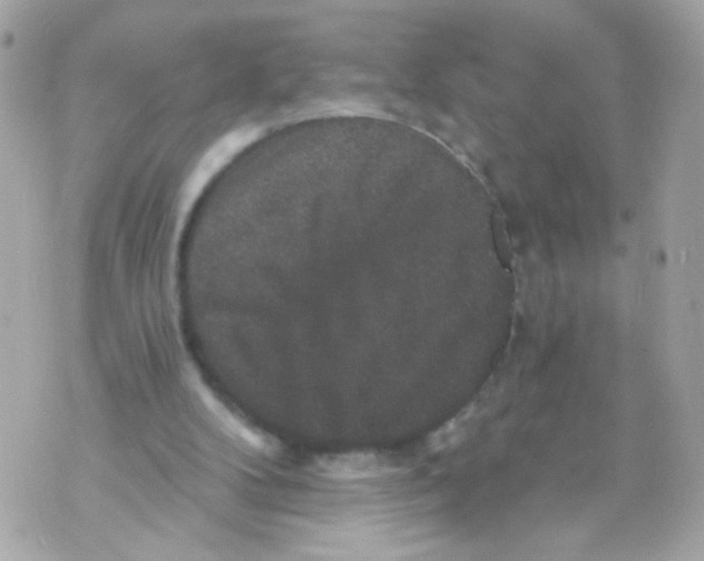 X0000070400104200607072254