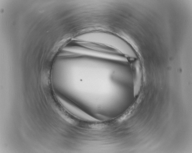 X0000070400105200607072254